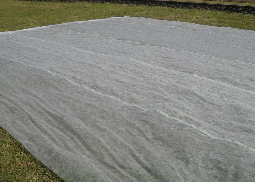 Non Woven UV treated Ground cover